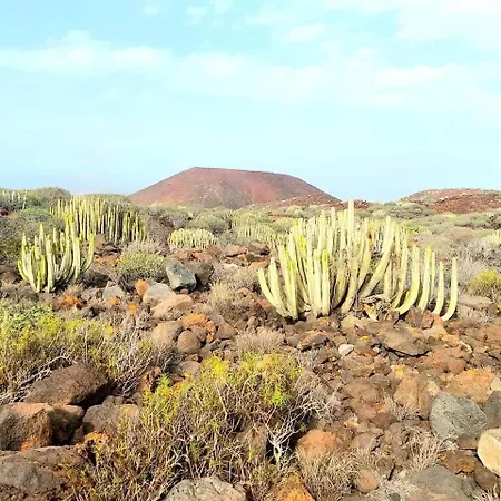 Cozy In The South Of Tenerife Апартаменты *