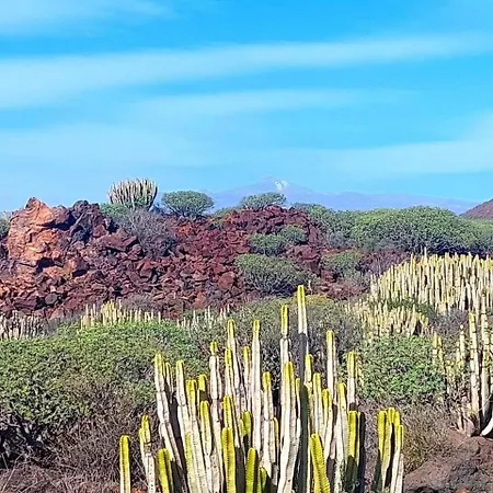 Cozy In The South Of Tenerife Апартаменты
